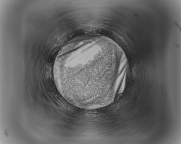 X0000102870964200809081202