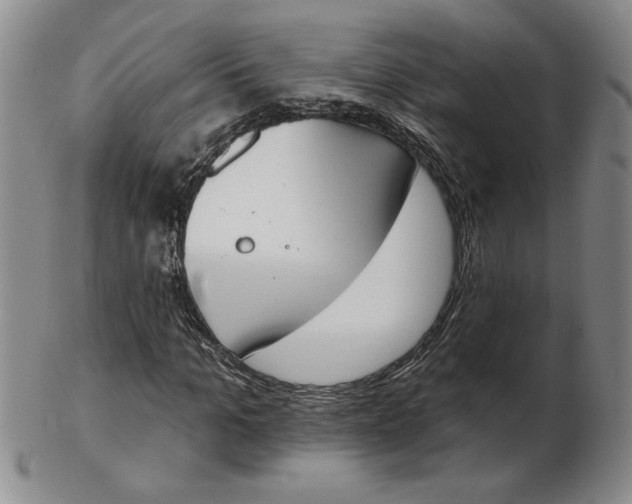 X0000102870965200809081202