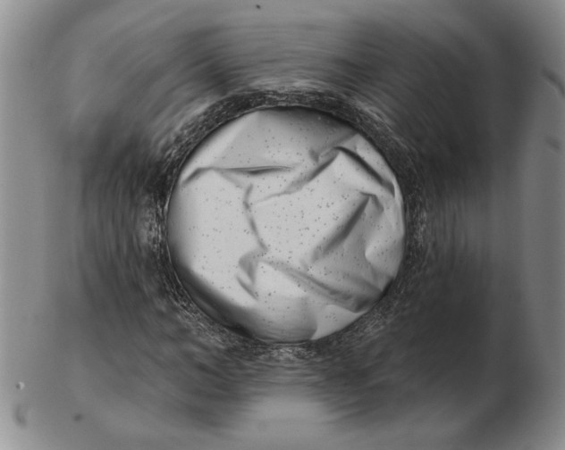 X0000102870966200809081202