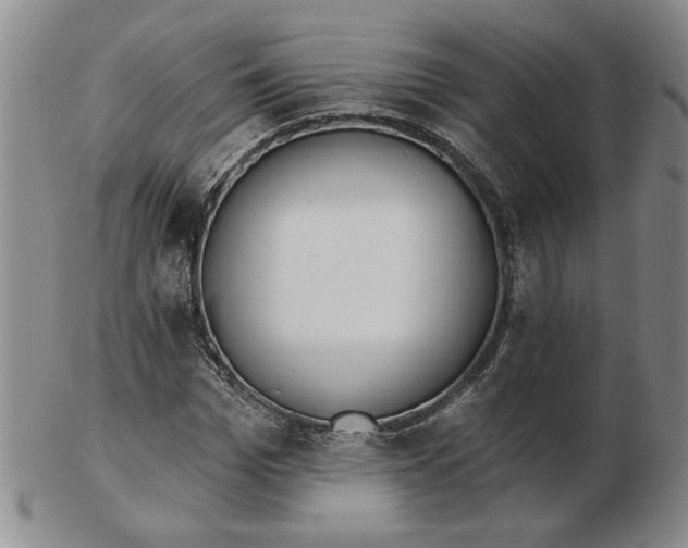 X0000102870969200809081202