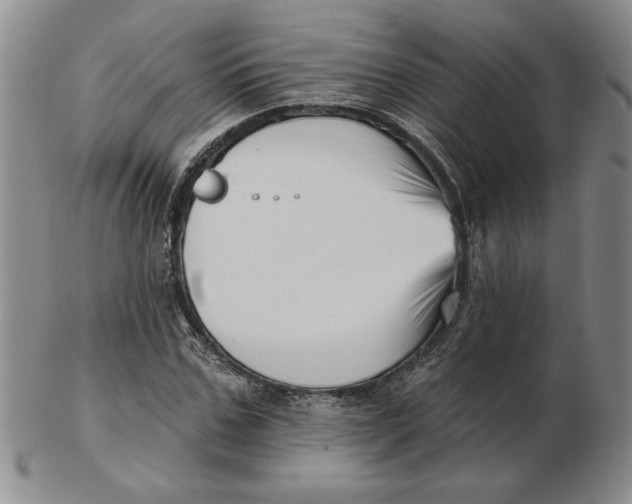 X0000102870971200809081202