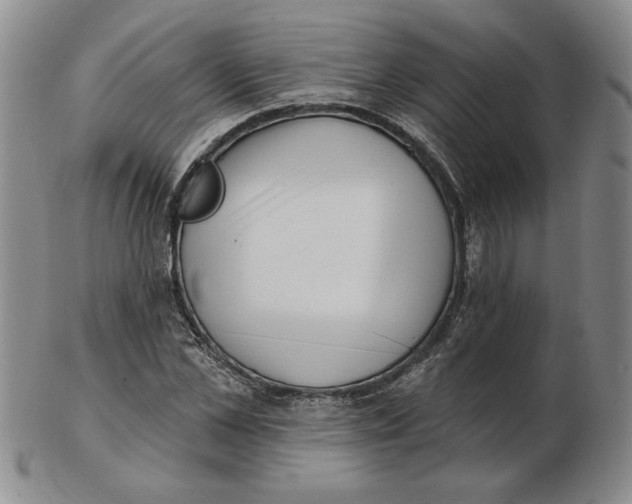 X0000102870973200809081202