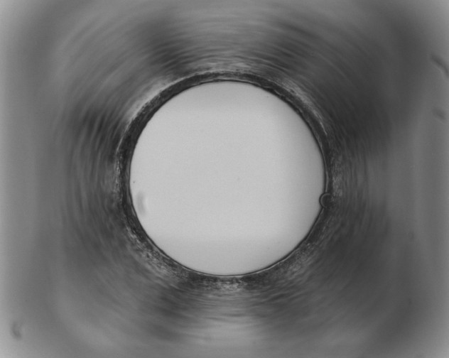 X0000102870975200809081202