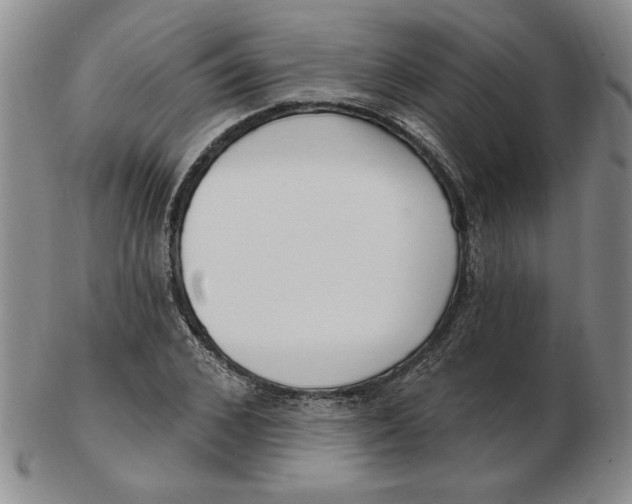 X0000102870976200809081202