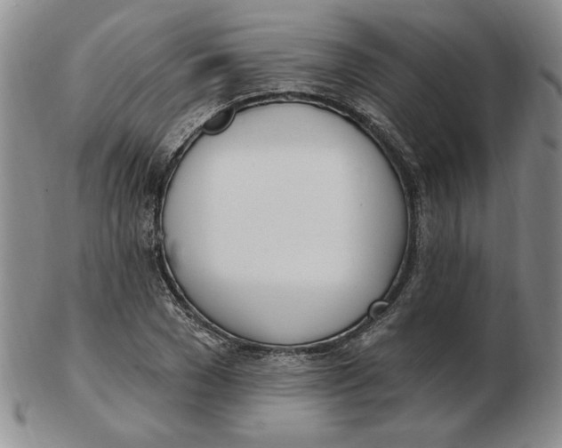 X0000102870977200809081202