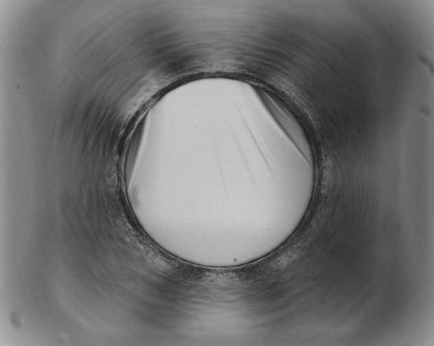 X0000102870978200809081202