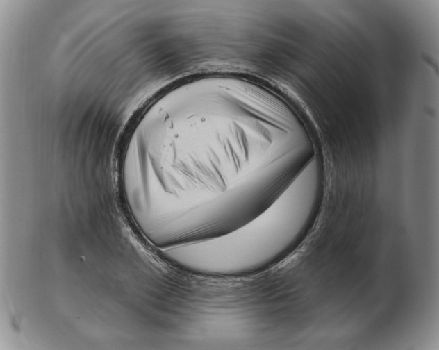 X0000102870981200809081202