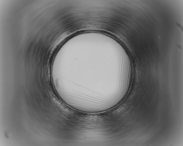 X0000102870982200809081202