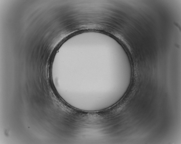 X0000102870983200809081202