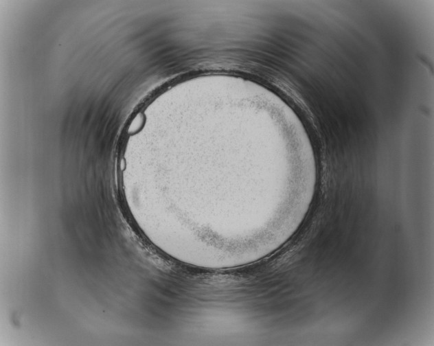 X0000102870984200809081202