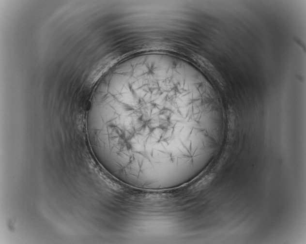 X0000102870985200809081202