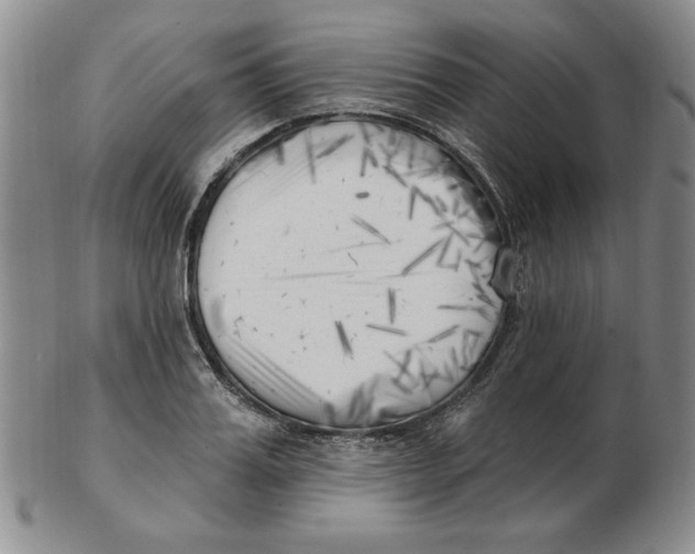 X0000102870987200809081202