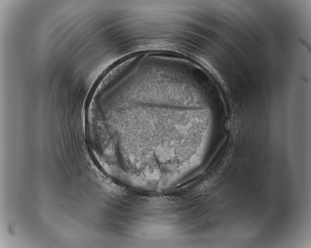 X0000102870988200809081202