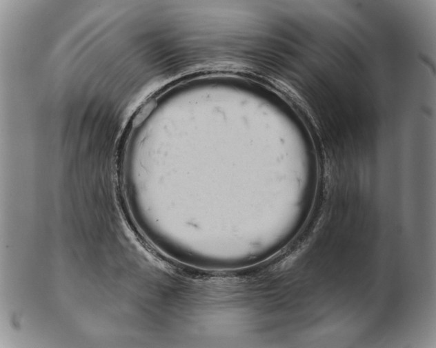 X0000102870989200809081202