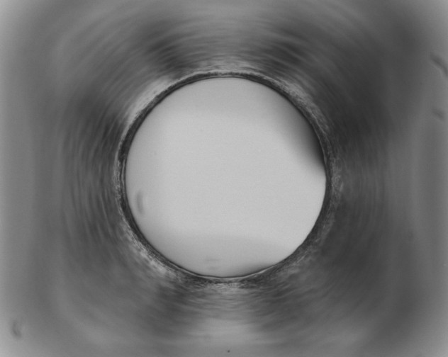 X0000102870990200809081202