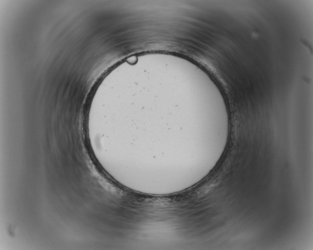 X0000102870991200809081202