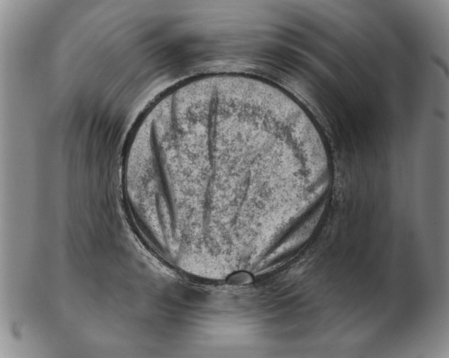 X0000102870992200809081202