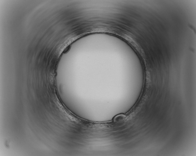 X0000102870993200809081202