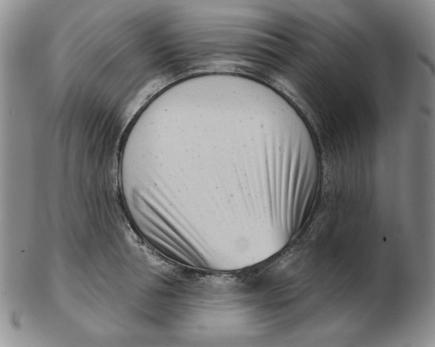 X0000102870994200809081202