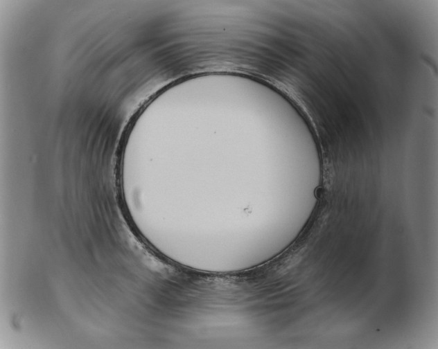 X0000102870995200809081202