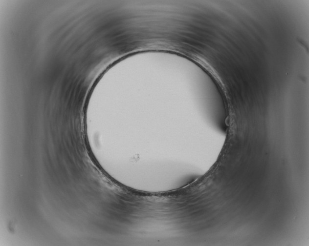 X0000102870996200809081202