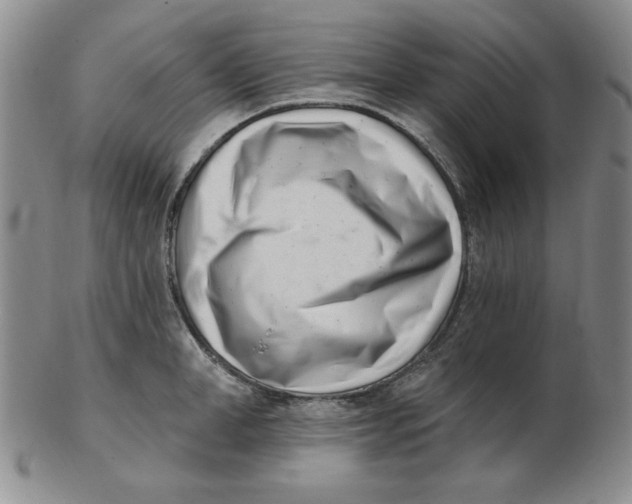 X0000102870998200809081202