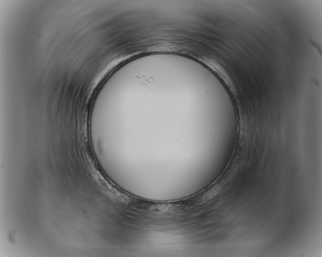 X0000102871000200809081202