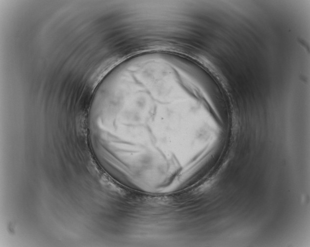 X0000102871001200809081201