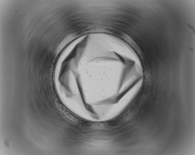 X0000102871002200809081201