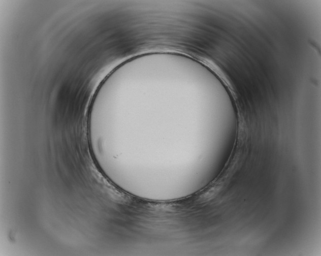 X0000102871004200809081201