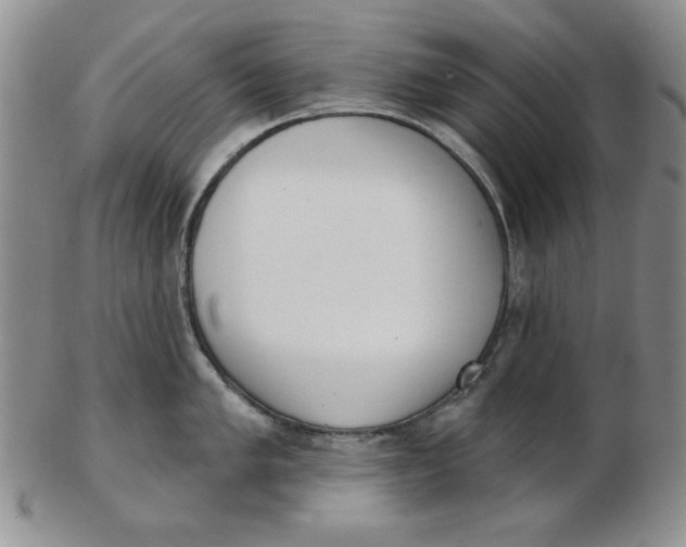 X0000102871005200809081201