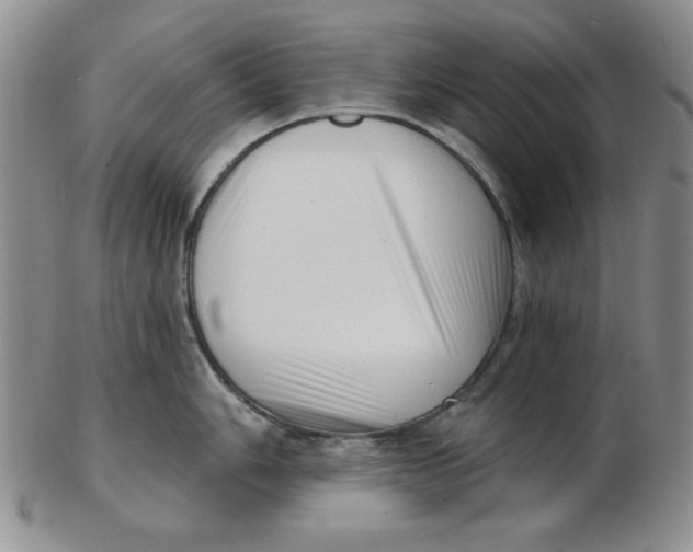 X0000102871006200809081201