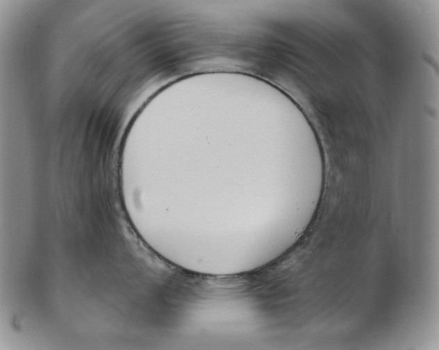 X0000102871008200809081201