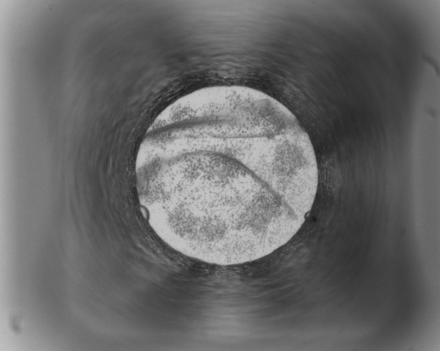 X0000102871009200809081201