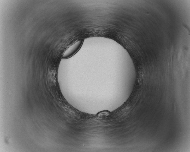 X0000102871010200809081201