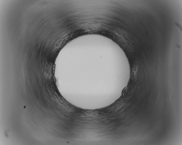 X0000102871012200809081201