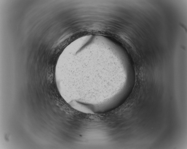 X0000102871015200809081201