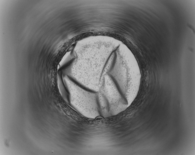 X0000102871016200809081201