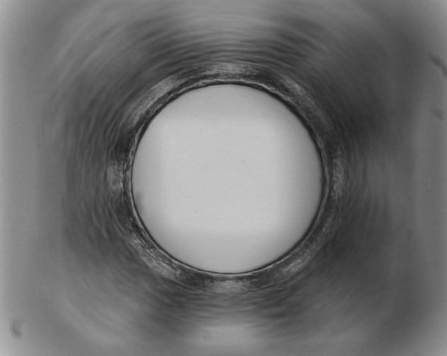 X0000102871017200809081201