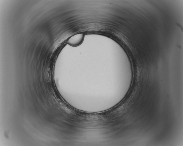 X0000102871018200809081201