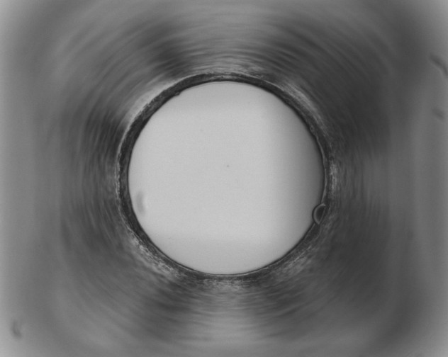 X0000102871020200809081201