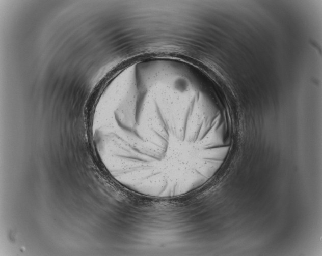 X0000102871022200809081201