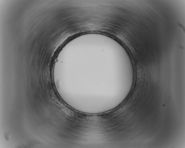 X0000102871023200809081201