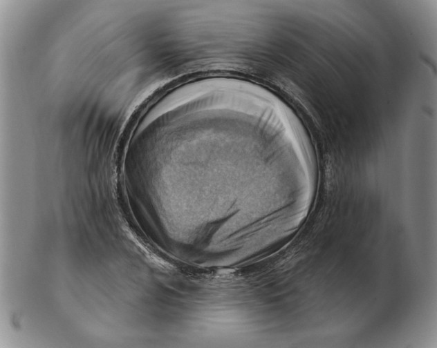 X0000102871024200809081201