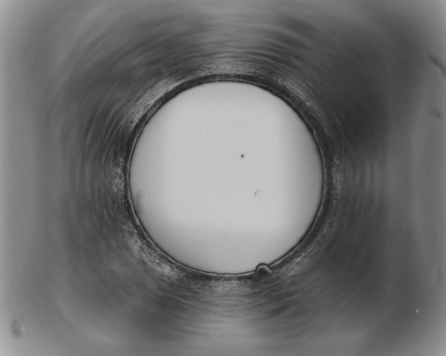 X0000102871025200809081201