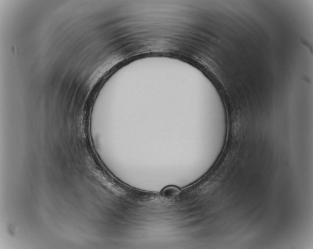 X0000102871026200809081201