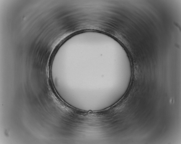 X0000102871028200809081201