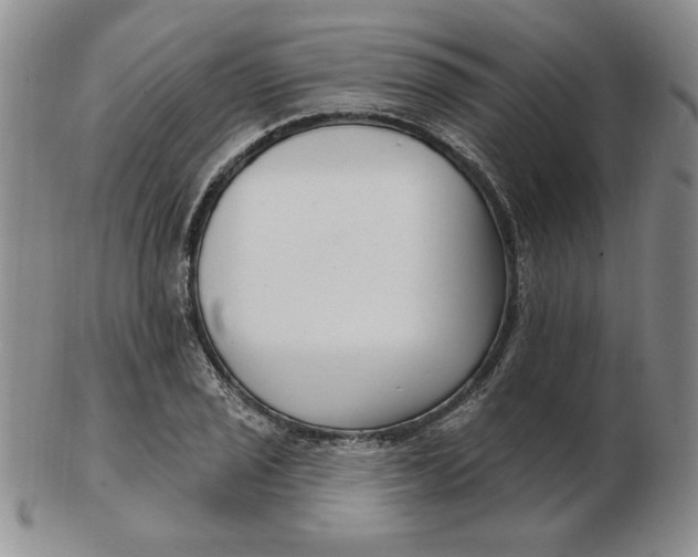 X0000102871029200809081201