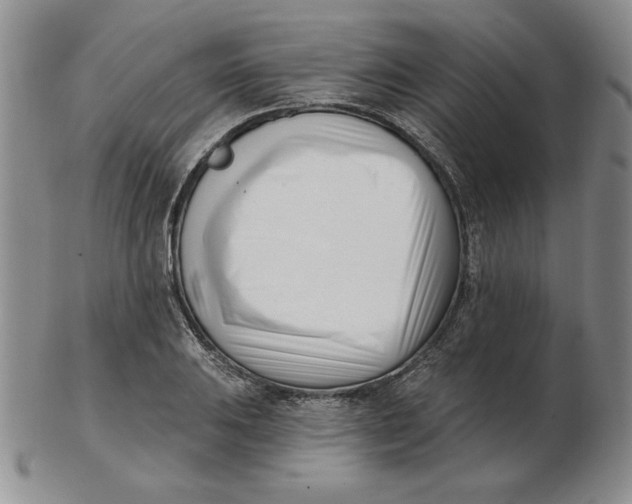 X0000102871031200809081201