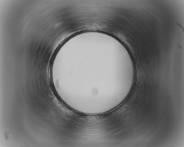 X0000102871032200809081201